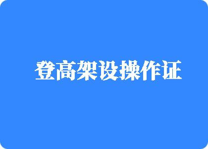 小仙女们的嫩白bb视频登高架设操作证